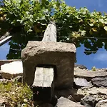 Donauwirt - Garni