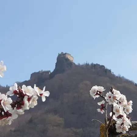 호텔 Donauwirt - Garni