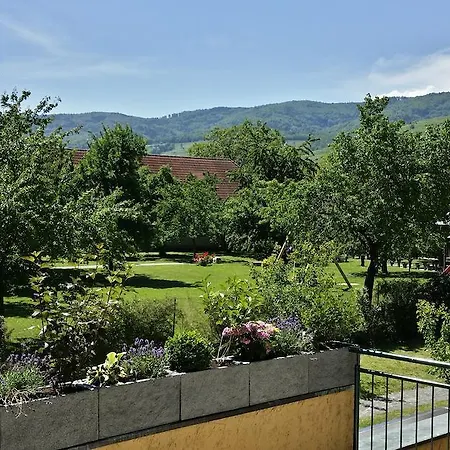 Donauwirt - Garni Hotel