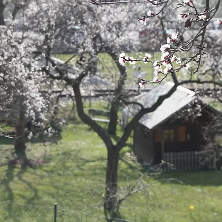 Donauwirt - Garni Weissenkirchen in der Wachau