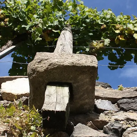 Donauwirt - Garni