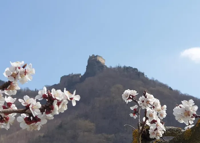 מלון Donauwirt - Garni