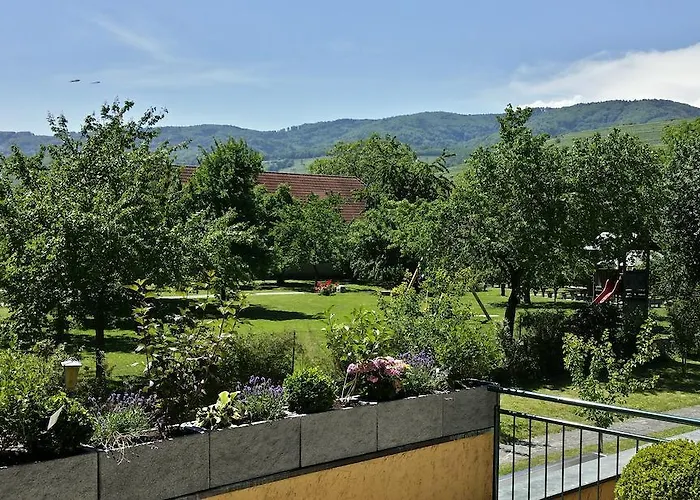 Donauwirt - Garni מלון