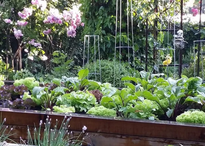 Donauwirt - Garni 4* וויסנקירשן אין דר וואכאו