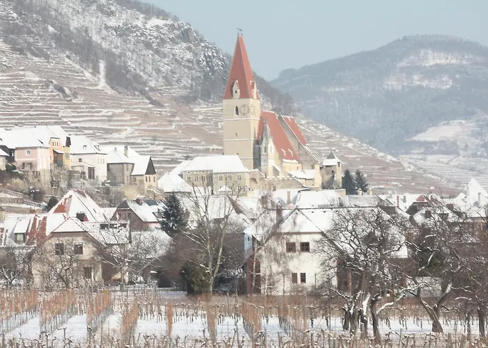 Donauwirt - Garni מלון 4*