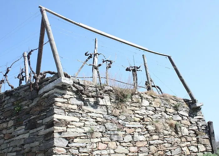 מלון Donauwirt - Garni