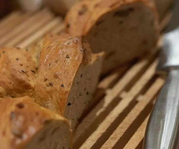 Donauwirt - Garni 4* וויסנקירשן אין דר וואכאו